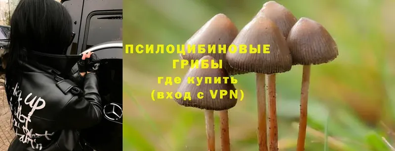 цены   Искитим  Галлюциногенные грибы MAGIC MUSHROOMS 